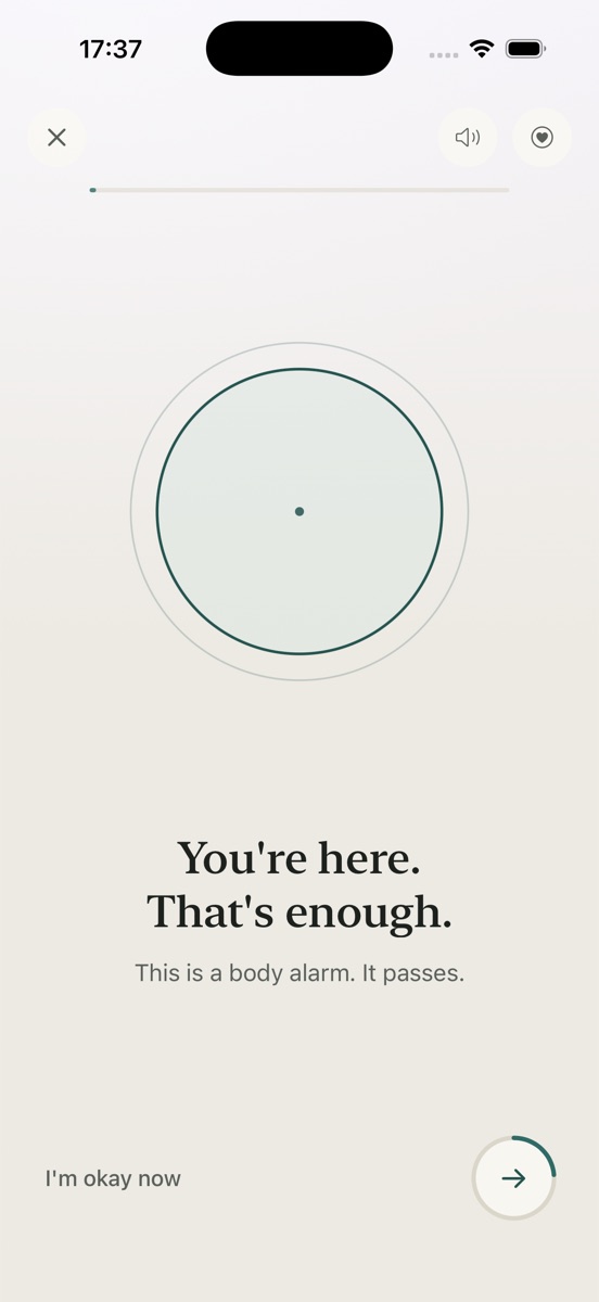 Unspiral Calm Now grounding screen
